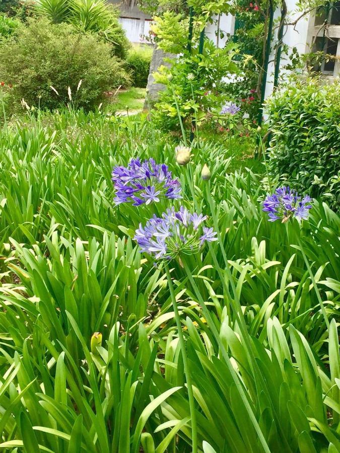 Cascais Seaside Garden Villa المظهر الخارجي الصورة