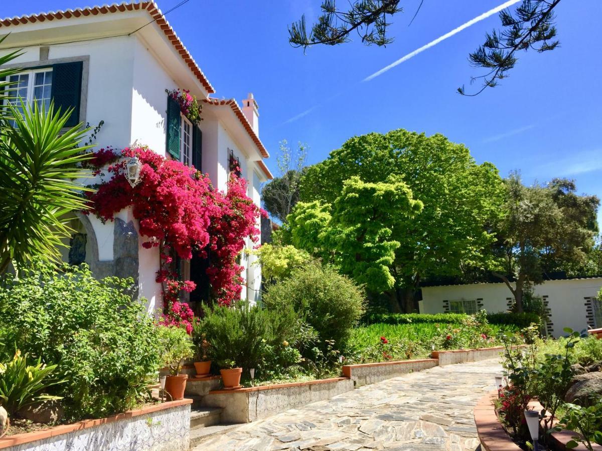 Cascais Seaside Garden Villa المظهر الخارجي الصورة